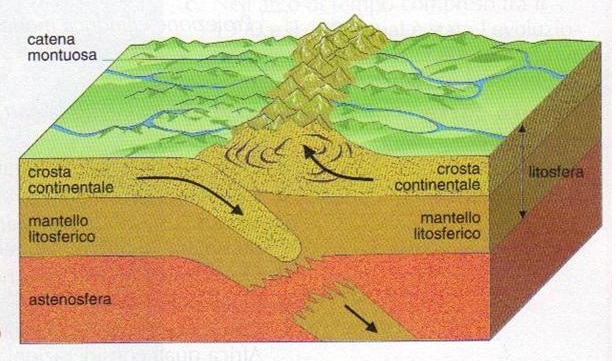 Margini convergenti placche continentali