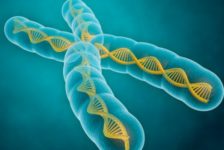Introduzione ai principi della genetica