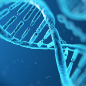 La struttura del DNA