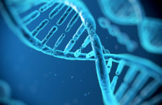 La struttura del DNA